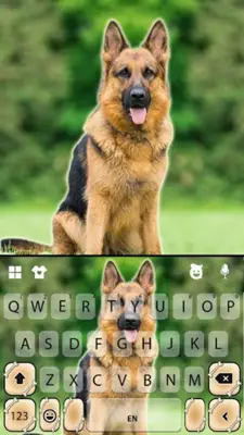 German Shepherd Keyboard Backg android App screenshot 0